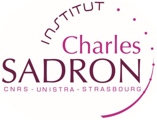 Logo_ics_arrondi